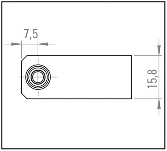 Cabinet Pivot Hinge